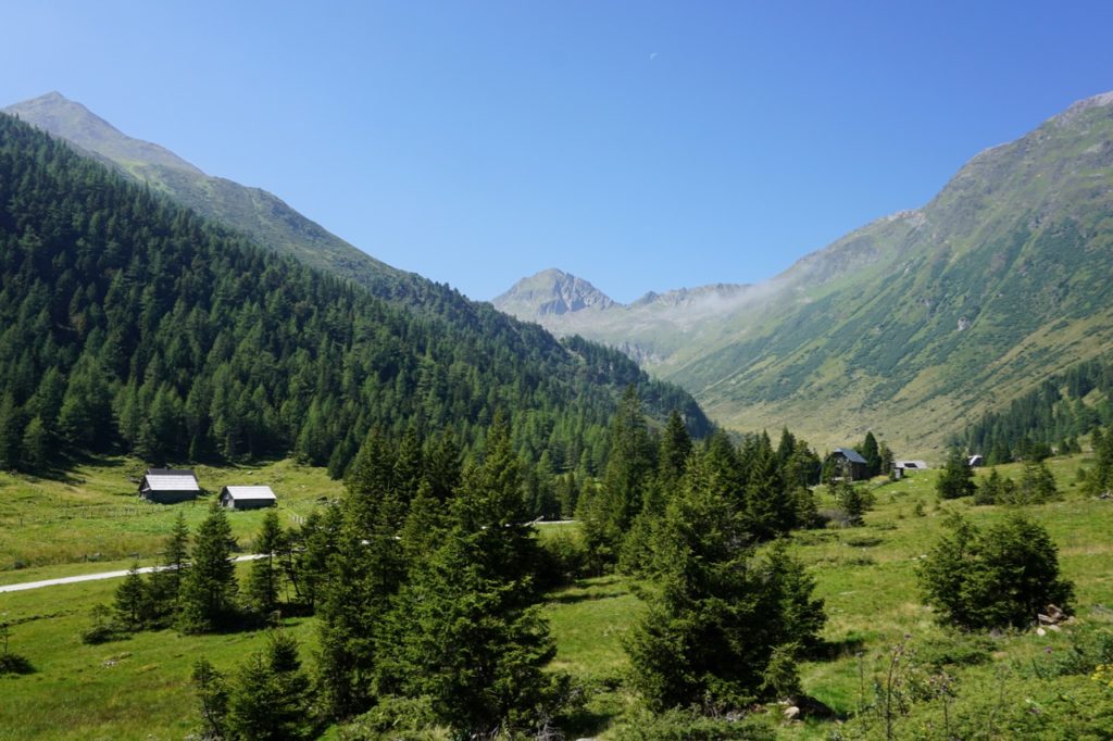 Wandern in der Eselsberger Alm in der Steiermark