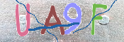 CAPTCHA-Bild