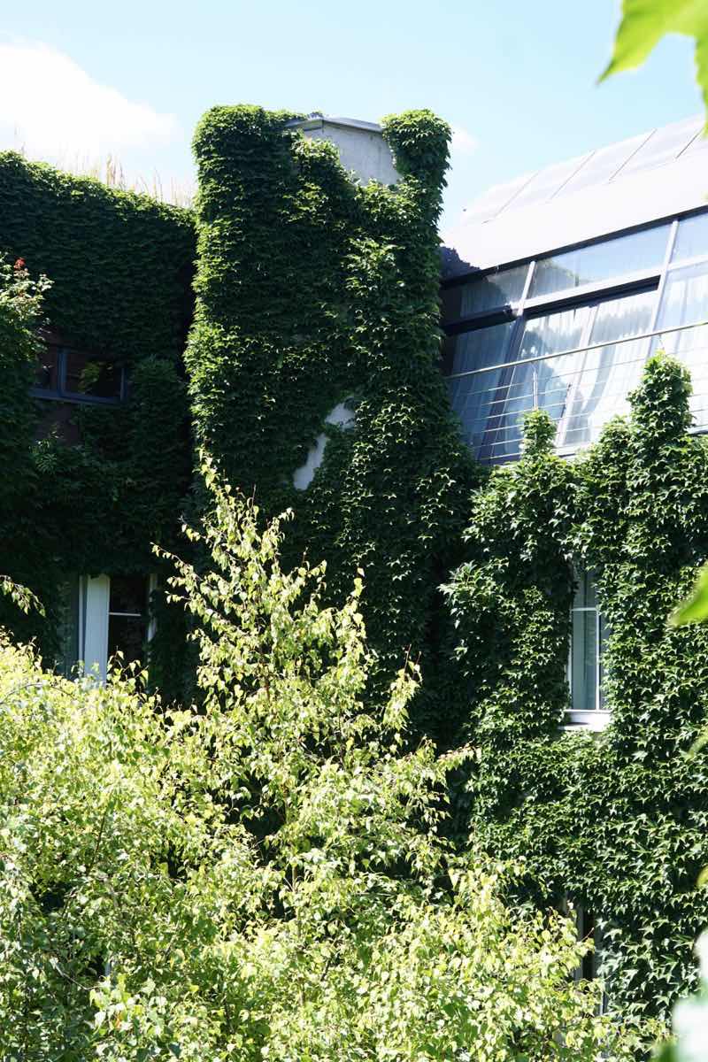 Salzburger fenster bekanntschaften
